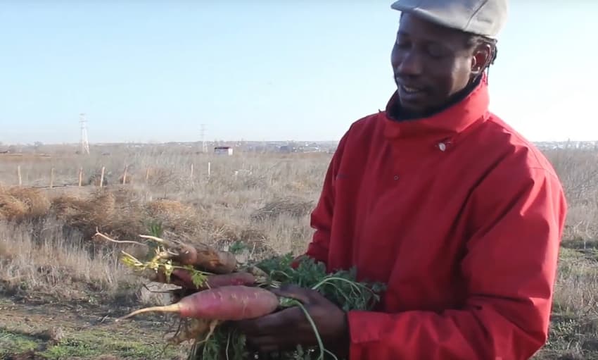 From Mauritania to the Jarama valley: Meet Usman, the alternative organic veg farmer
