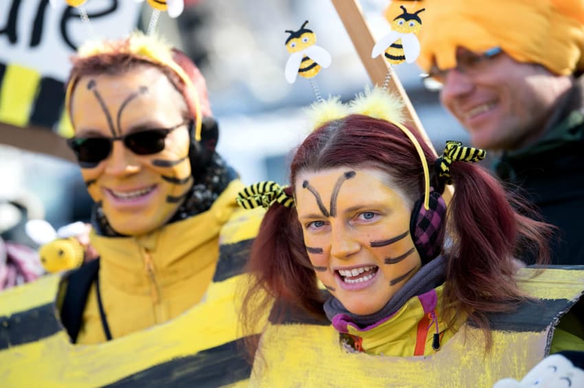 Bavaria celebrates most successful referendum ever – to save its bees