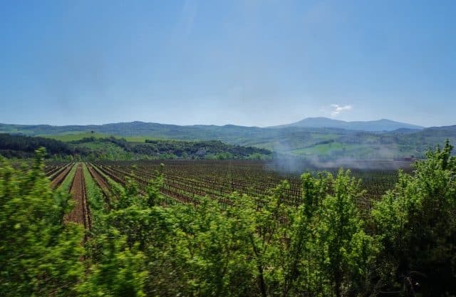 Weekend Wanderlust: Siena and a steam train ride through wine country