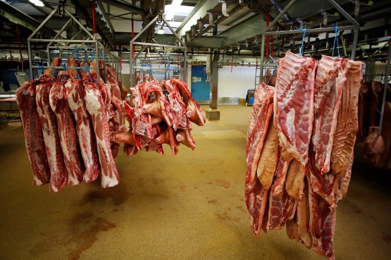 France hunts for 800kg of suspect beef from sick cows