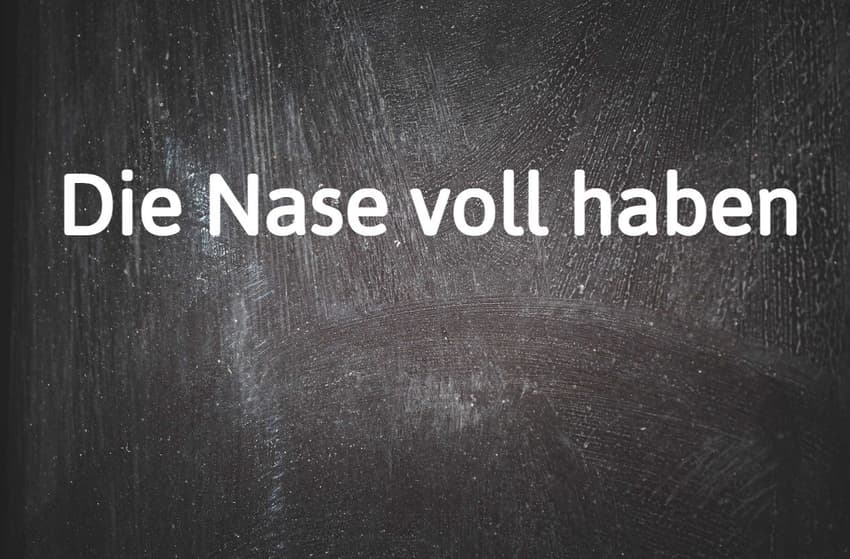 German phrase of the day: Die Nase voll haben