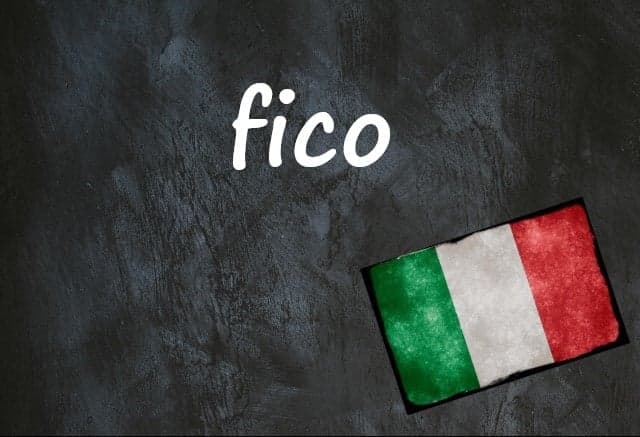 Italian word of the day: 'Fico'