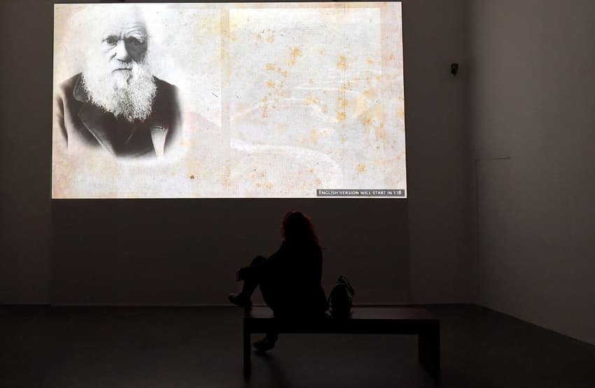 Leonardo da Vinci revisited: Was he an environmentalist ahead of his time?