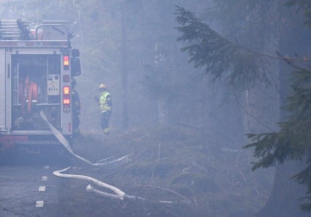 Homes evacuated as firefighters battle wildfires in southern Sweden