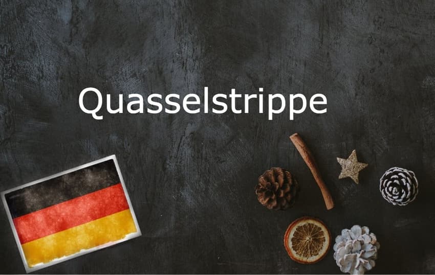 German word of the day: Die Quasselstrippe