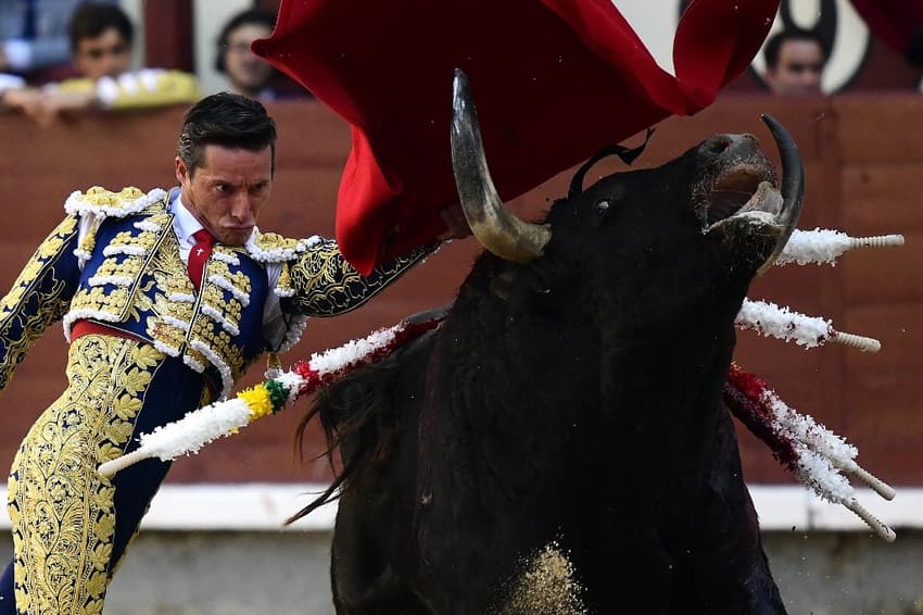 Madrid's bullfighting 'ritual' acclaimed and contested