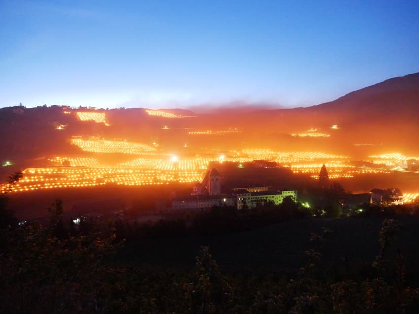 Why are Italian winemakers setting their vineyards ablaze?