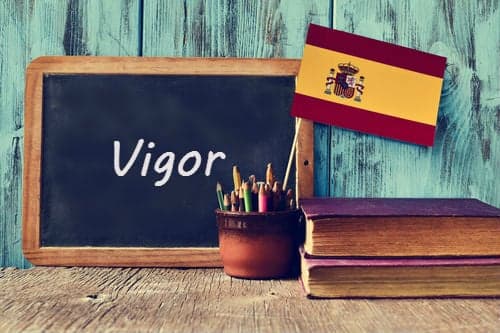 Spanish Word of the day: 'Vigor'