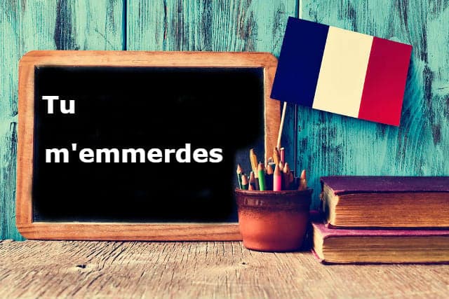 French Expression of the Day: Tu m'emmerdes