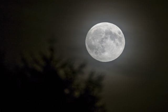 Moon not to blame for madness: Swiss study