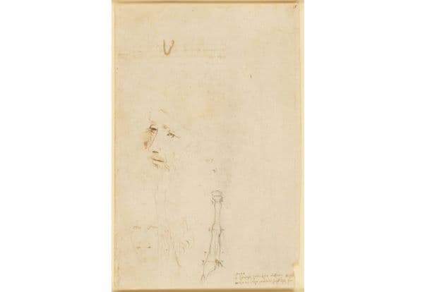 Newly identified Leonardo da Vinci portrait on show in London