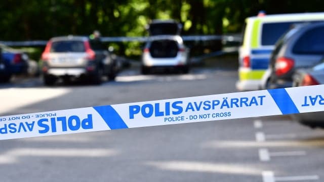 Malmö court jails man for murder: 'It was an execution'