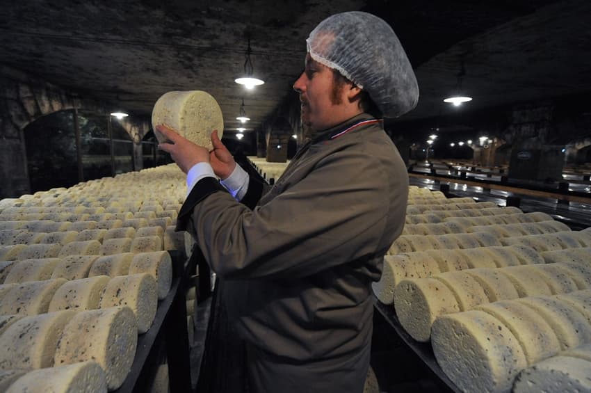 Roquefort: The 600-year-old mouldy French cheese that heals wounds