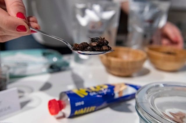 Sweden's Disgusting Food Museum gets a permanent home