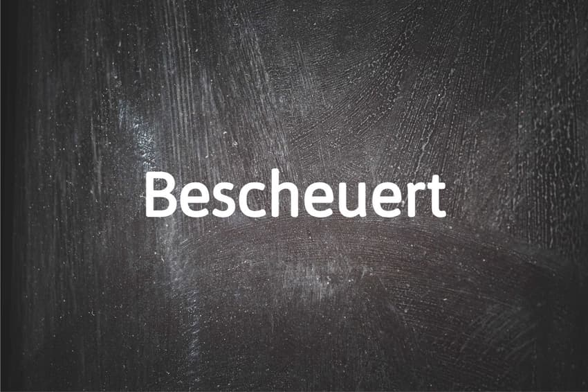 German word of the day: Bescheuert