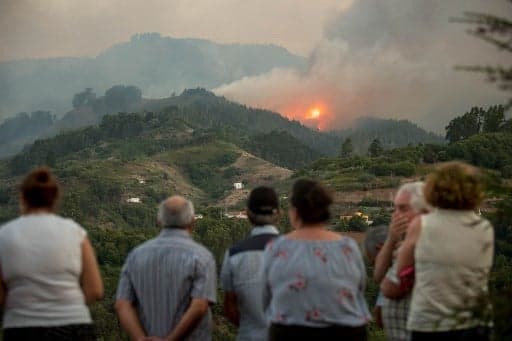Canary Islands: Eight thousand evacuated as wildfire rages across Gran Canaria
