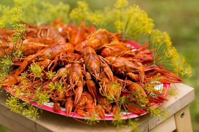 Sweden's crayfish season begins: Here's what you need to know