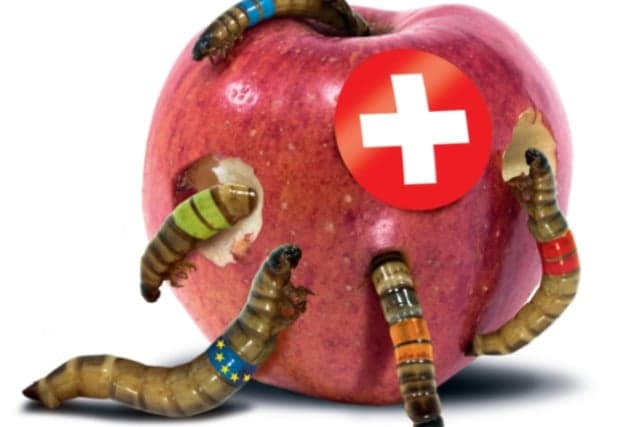 Inside Swiss politics: Why everyone is talking about this 'worm poster'