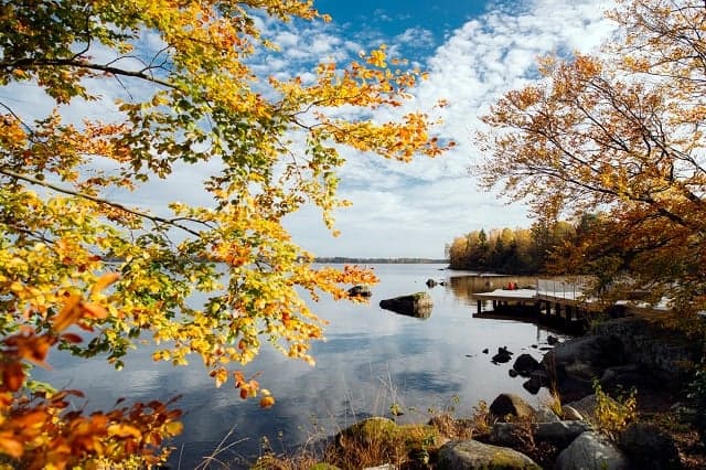 Sweden welcomes its earliest autumn in 40 years