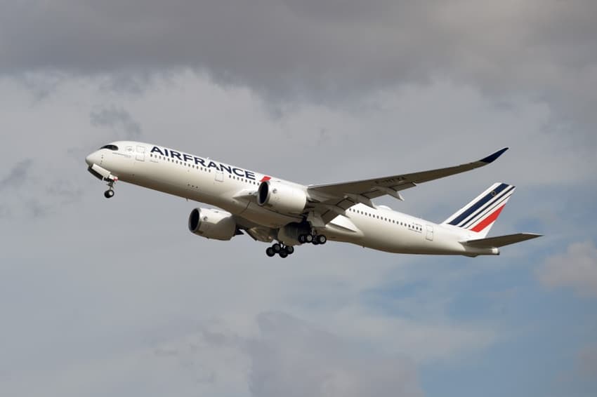Air France to carbon offset its flights in multimillion euro green pledge