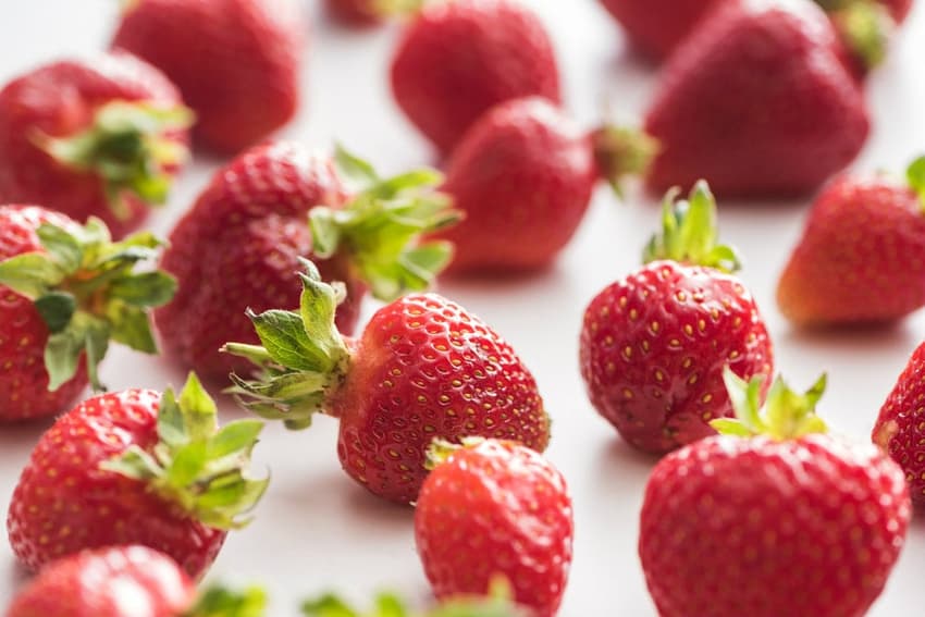 Robot could be tasty introduction at Norwegian strawberry farms