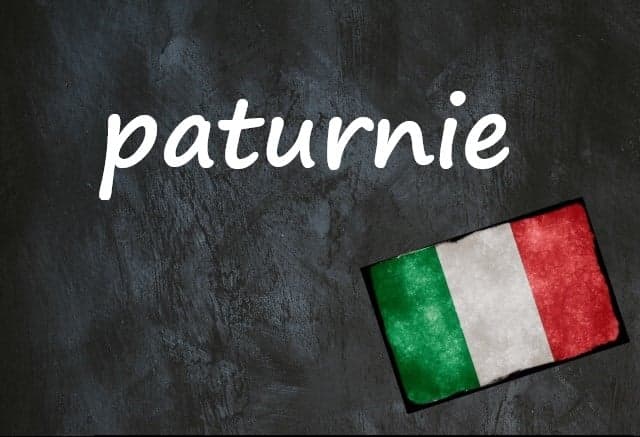 Italian word of the day: 'Paturnie'
