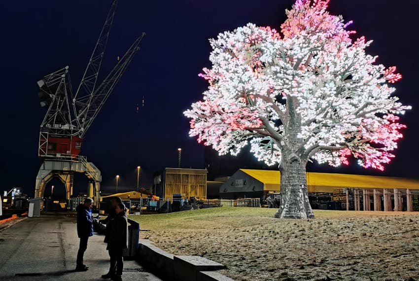 WATCH: The dazzling Oslo tree that became a sleeper Christmas hit