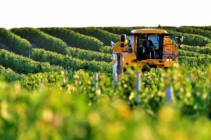 Trump's US wine tariffs 'threaten 100,000 jobs in French countryside'