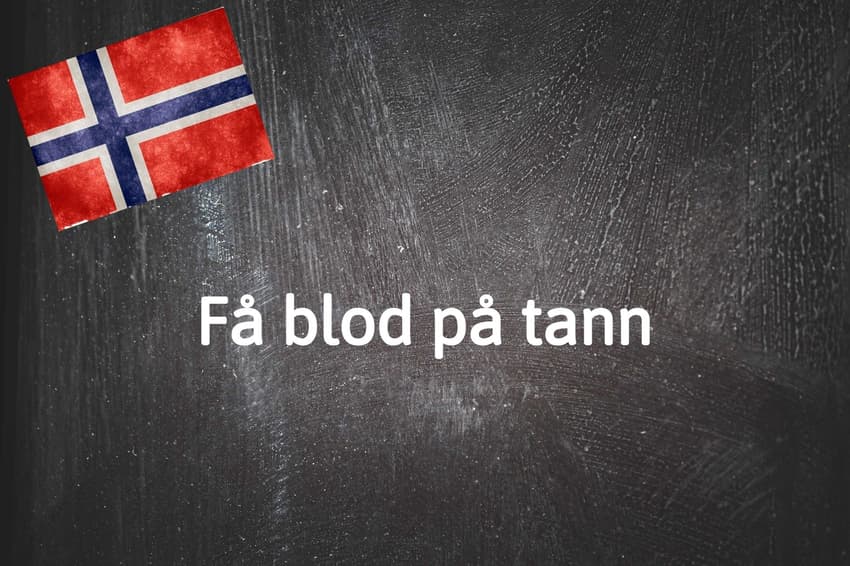 Norwegian expression of the day: Få blod på tann