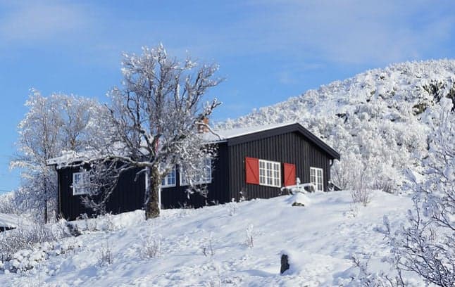 Norway bans cabin stays to save rural hospitals from coronavirus peak