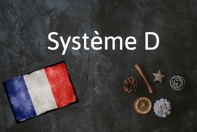 French word of the day: Système D