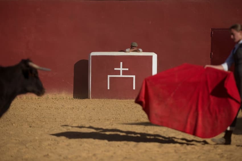 Could coronavirus deal a fatal blow to Spain's bullfighting tradition?