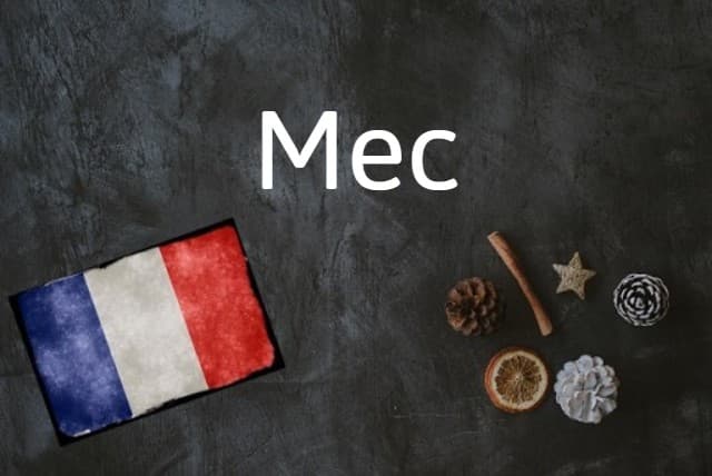 French word of the day: Mec