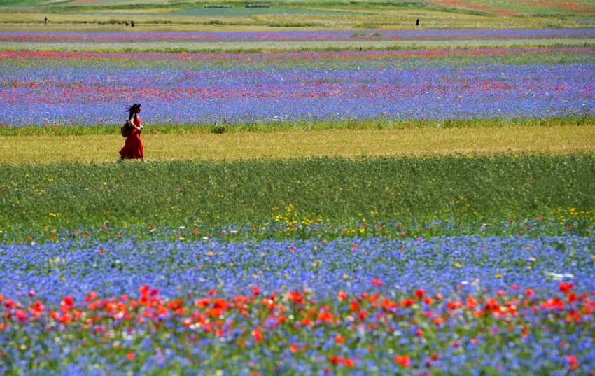 IN PHOTOS: Italian village bursts into bloom in annual 'flowering'