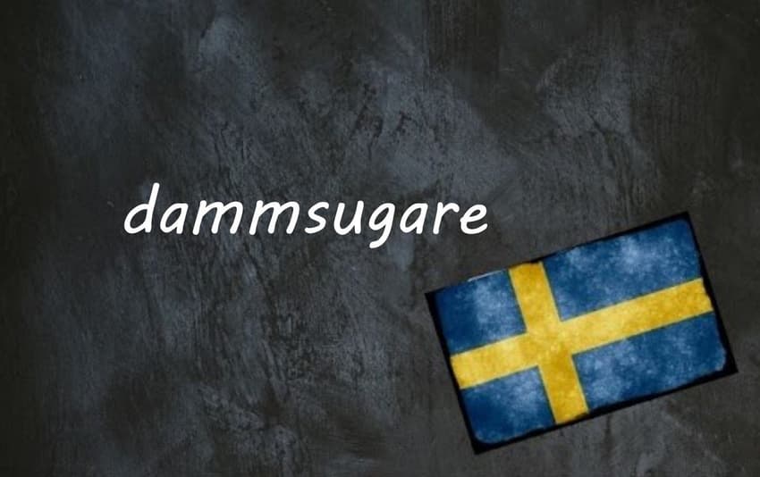 Swedish word of the day: dammsugare