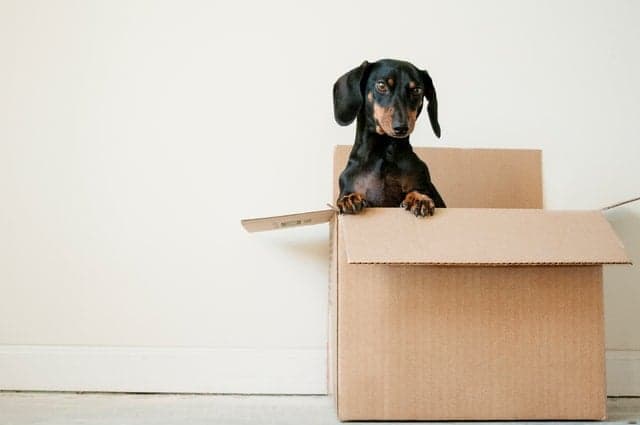 Checklist: Everything you need to do when you move house in Sweden