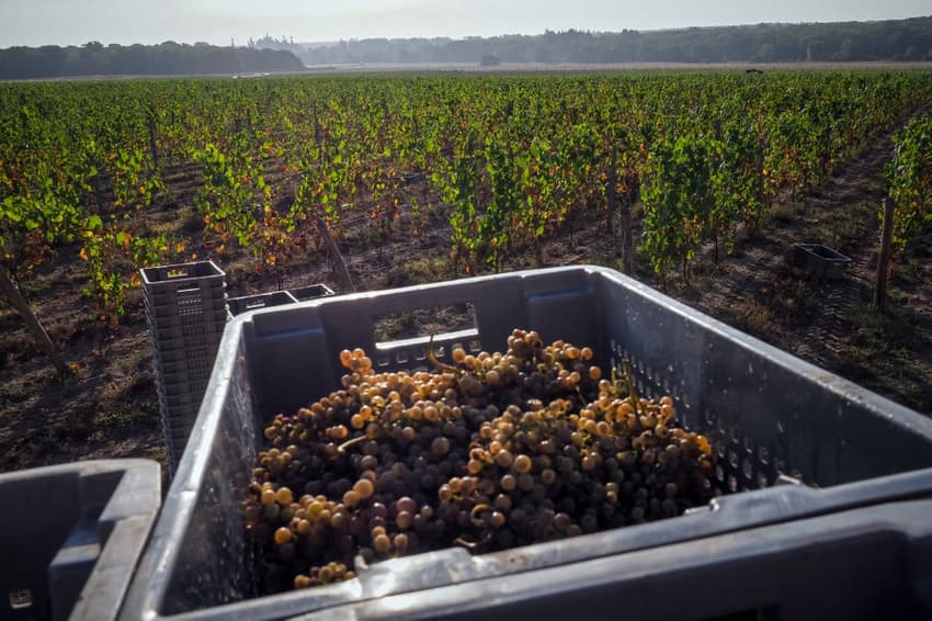 France gives another €80 million in aid to its embattled wine industry