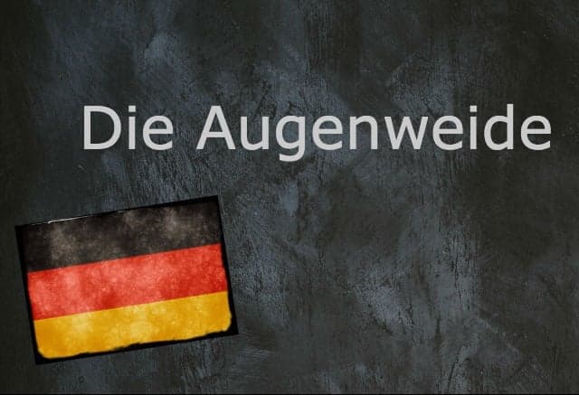 German word of the day: Die Augenweide