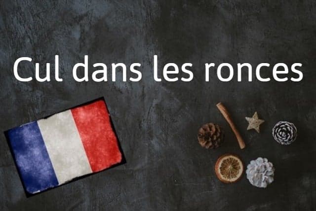 French expression of the day: Cul dans les ronces