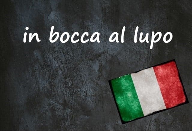 Italian expression of the day: 'In bocca al lupo