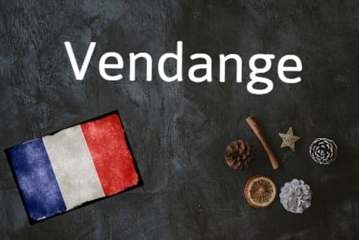 French word of the day: Vendange