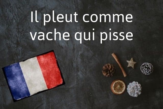 French phrase of the day: Il pleut comme vache qui pisse