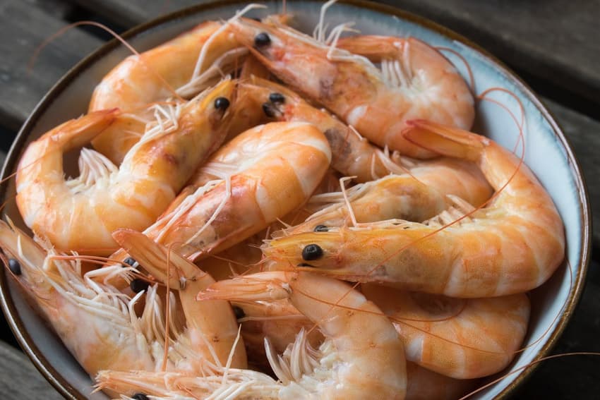 Why you shouldn't suck prawn heads during an Italian Christmas feast