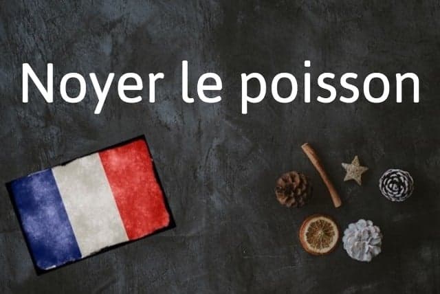 French expression of the day: Noyer le poisson