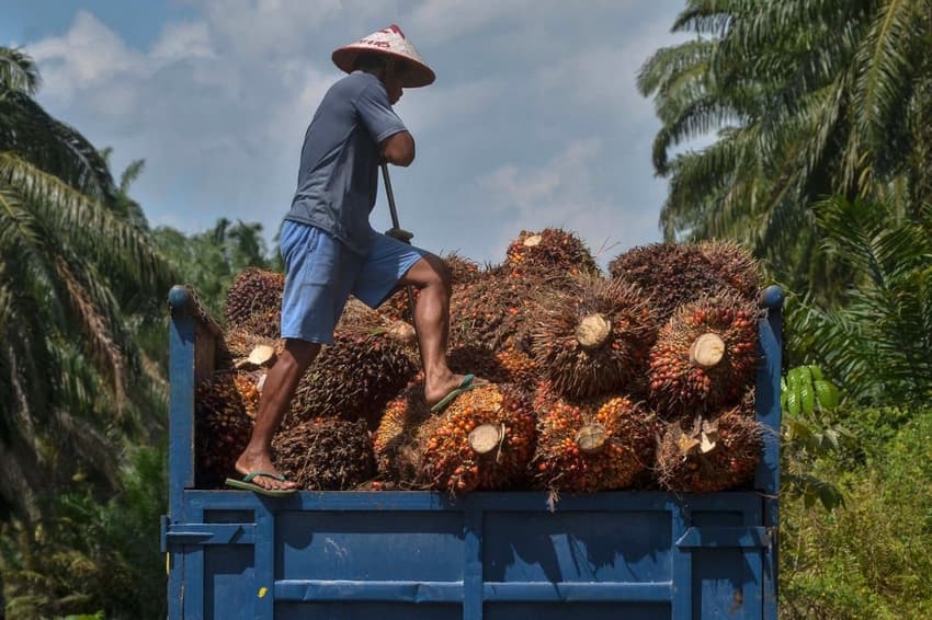 What you need to know about Switzerland's 'palm oil' referendum