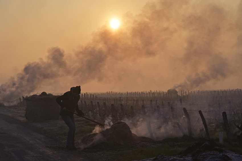 France to declare agricultural disaster over spring frosts that damaged vineyards