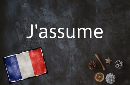 French word of the day: J'assume