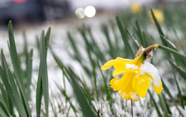 Here's when it might snow where you are in Sweden