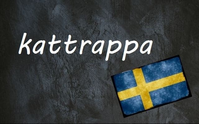 Swedish word of the day: kattrappa