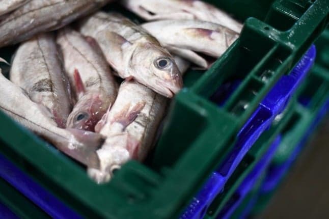 EXPLAINED: Why are France and the UK fighting about fish?